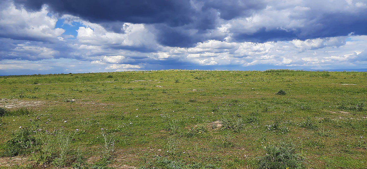 Llanos de Cáceres